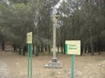 DSC03482.jpg
