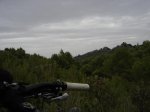 DSC03491.jpg