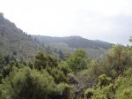DSC03495.jpg