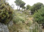 DSC03498.jpg