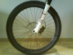 DSC01077.jpg