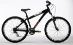 bike99[1].jpg