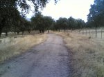 dia 21-09-2008 001.jpg