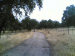 dia 21-09-2008 002.jpg
