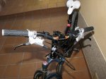 IMG_0788 foro.jpg