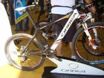 bicicuriosa13.jpg