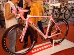 bicicuriosa16.jpg