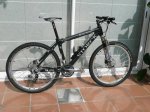 storck1w.JPG
