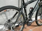 storck3w.JPG