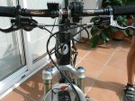 storck6w.JPG