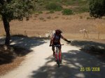 fotos bici 010.jpg
