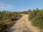 Imagen015.jpg