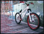 IMG_1002 B [Resolucion de Escritorio].JPG