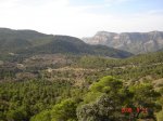 ds_DSC elda 017.jpg