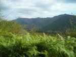 DSCN1078.jpg