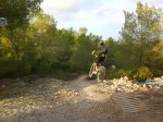 DSC07791.jpg
