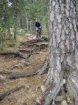 Foto 033.JPG