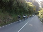 20092008174.jpg