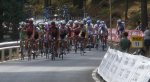 peloton.jpg