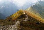 single-track_picos.jpg