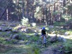 20092008536 (Medium).jpg