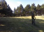 20092008541 (Medium).jpg