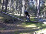 20092008554 (Medium).jpg