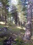 20092008557 (Medium).jpg