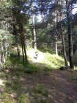 20092008559 (Medium).jpg
