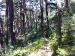 20092008569 (Medium).jpg