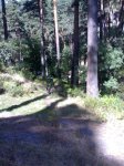 20092008575 (Medium).jpg