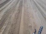 DSC00210.JPG