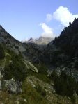 DSC00082.jpg