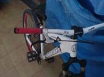 DSC02180.JPG