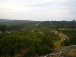 IMG14.JPG