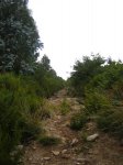 IMG11.JPG