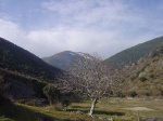 Collado Bellido 2.JPG