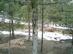foto2.jpg