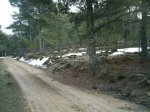 foto5.jpg