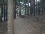P1010006.JPG
