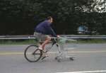 carrito_bici.jpg