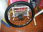 DSC00395.JPG