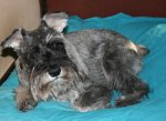 IMG_1724.jpg