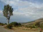 DSCN3127_800x600.jpg