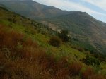 DSCN3129_800x600.jpg