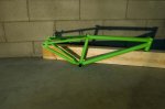 xray green small.jpg