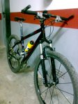bici carlos2.jpg