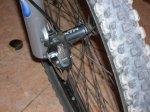 DSCN0559.jpg