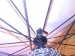 Foto0128.jpg