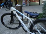 DSC00255.jpg